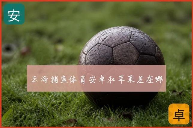 云海捕鱼体育安卓和苹果差在哪